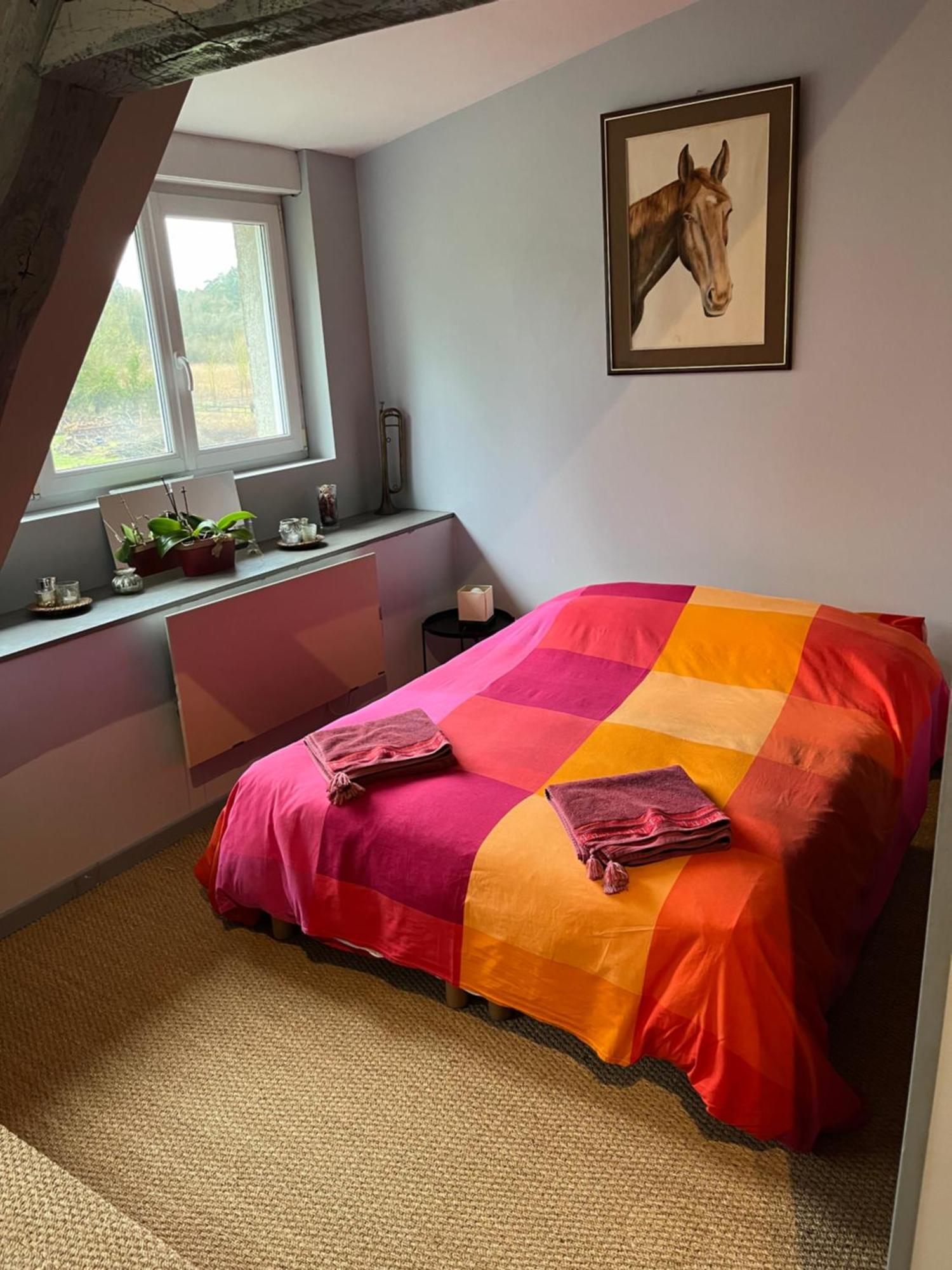 Le Vieux Moulin Chamant Senlis 60300 Apartment Exterior photo